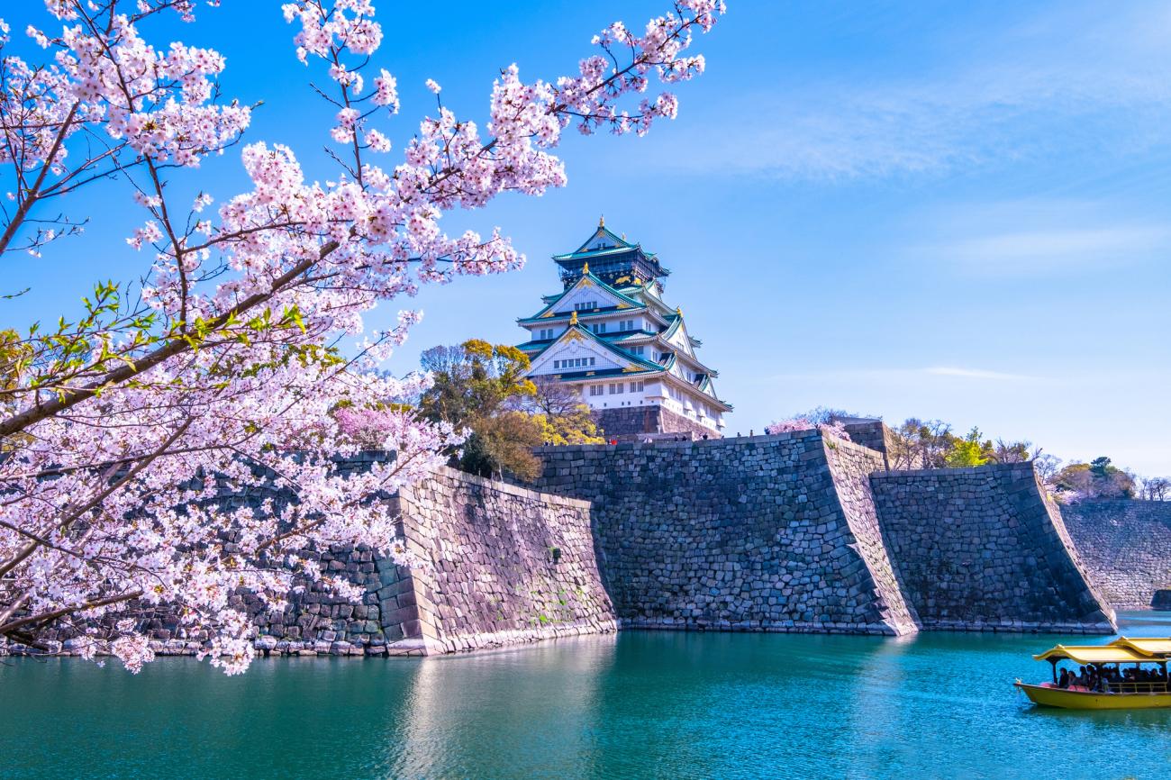 cherry-blossom-osaka_11